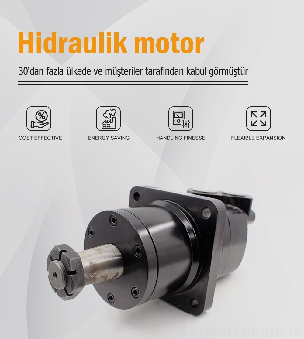 BM6W_Sıkloidal Hidrolik Motor 310 cc/r 150 L/dakika hidrolik motor